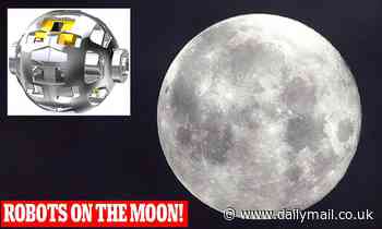 Japan is going to put a baseball-sized robot that transforms on the moon in 2022