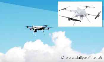 Fully autonomous drones may have 'hunted down' and attacked humans for the first time