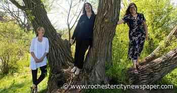 Fivebyfive blends music and meditation in interactive online event