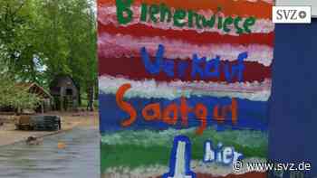 Paulo-Freire-Schule in Parchim: Hortkinder bieten am Verkaufsstand des Vertrauens Blumensamen an | svz.de - svz – Schweriner Volkszeitung