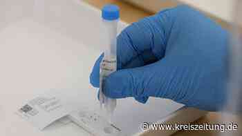 Corona-Ausbruch in Geflügelbetrieb bei Parchim – 32 Infizierte - kreiszeitung.de