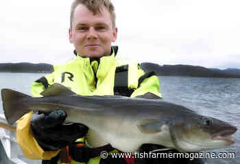 Norcod achieves global food safety standard – Fish Farmer Magazine - Fish Farmer Magazine