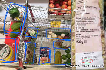 Thrifty mums share the supermarket shopping tricks that halve their food bills – including a clever t... - The Sun