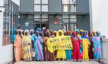West Africa to Europe fishmeal, fish oil imports expose broken food system - Greenpeace International