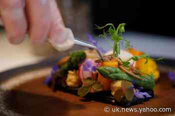 French restaurant serves up food of the future: insects - Yahoo News UK