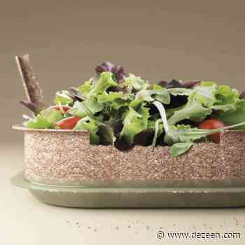 Forest and Whale designs edible Reuse food containers made from wheat husks - Dezeen