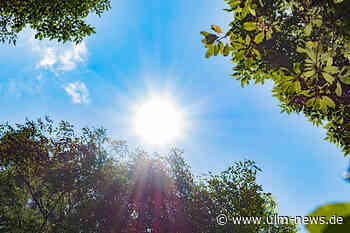 Im Sommer unbeschwert Sonne tanken