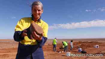 98-Million-Year Old Dinosaur Fossil Found in Australia, Scientists Say Could Be New Species