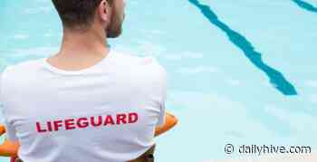 Toronto hiring dozens of pool and beach jobs this summer | Venture - Daily Hive