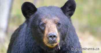 Your Saskatchewan photo of the day: June 2021