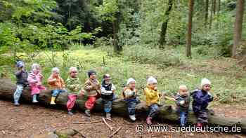 Tauziehen um den Waldkindergarten - Süddeutsche Zeitung