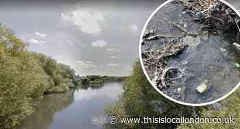 Call for Barnet Council to help clear Welsh Harp reservoir