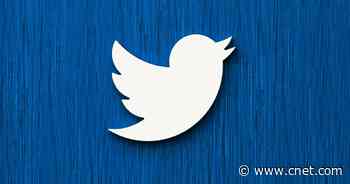 Twitter's fleets format for vanishing content will get ads in new test     - CNET