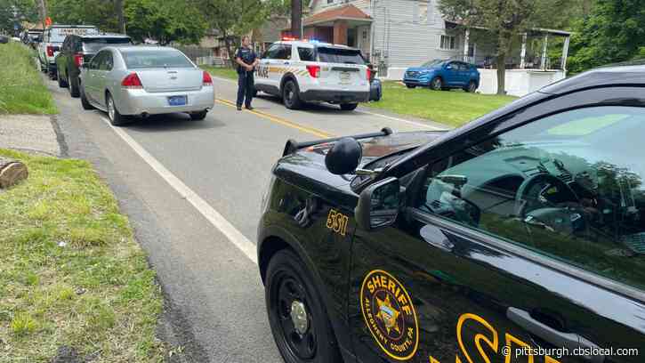 Landscaping Crew Member Shot, Killed In Penn Hills