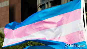 House Democrats introduce bill to protect transgender military dependents