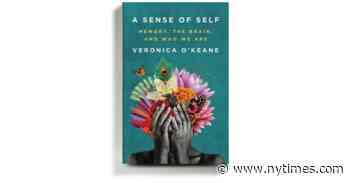 A Lucid, Literary Illustration of the Complex, Beautiful Work of Memory