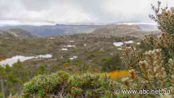 Tasmania's new tourism master plan like 'lipstick on the parks privatisation pig', critics say