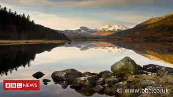 Rescuers question what3words' use in emergencies