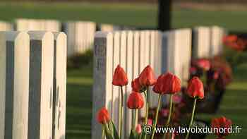 Rendez-vous aux jardins au mémorial du Faubourg d'Amiens à Arras - La Voix du Nord