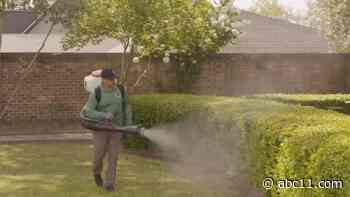 Raleigh & Durham ranked 2 of the worst US cities for mosquitoes: What yard treatments are safe?