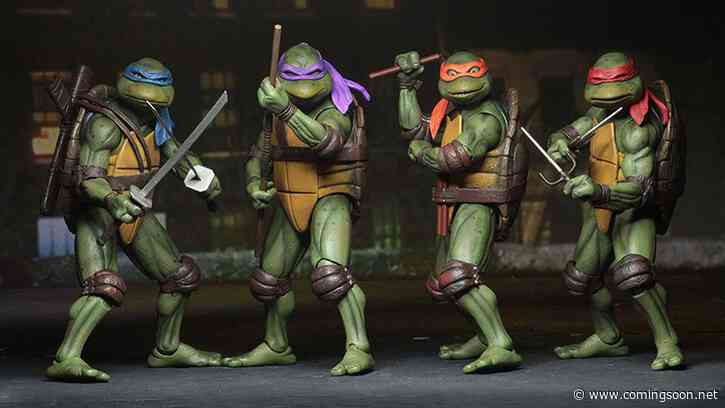 Seth Rogen’s Teenage Mutant Ninja Turtles Reboot Set for 2023