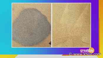 Refresh your carpet with Zerorez of Houston - KHOU.com