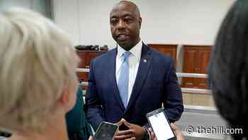 RNC featuring Tim Scott in ad campaign attacking Biden agenda | TheHill - The Hill