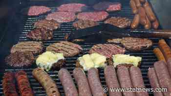 Grilling Scott Gottlieb on burgers, drugs, a post-pandemic summer - STAT - STAT