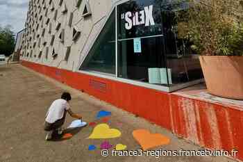 Auxerre : une artiste réalise une fresque géante en hommage aux victimes du Covid-19 - France 3 Régions