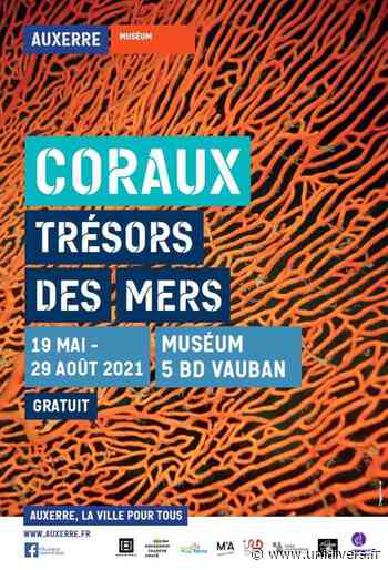 Coraux, trésors des mers Muséum d’Auxerre samedi 3 juillet 2021 - Unidivers