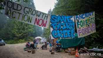 RCMP have now made 151 arrests as B.C. protests against old-growth logging continue