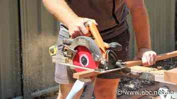 Timber shortage 'domino effect' could lead to 'valley of death', summit told