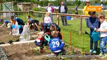 Hochbetrieb im „Kindergärtle" in Holzheim - das steckt dahinter