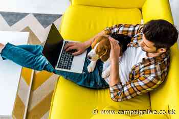 Nine in 10 UK employees favour a flexible working model, IPA report finds