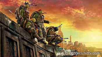 Teenage Mutant Ninja Turtles Release Date Set for August 2023
