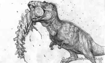 Teen T.Rex could deliver bone-puncturing bites from age 13, study finds