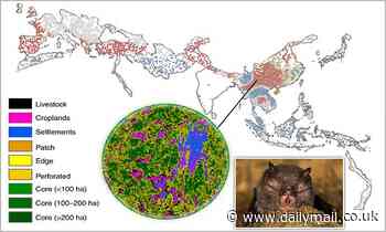 Experts reveal global 'hot spots' where new coronaviruses may emerge
