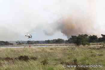 Burgemeester beslist sneller dan minister: vanaf vandaag roo... (Kalmthout) - Het Nieuwsblad