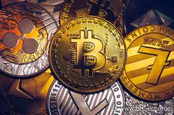 Komodo-Kurs (KMD) live in USD EUR und CHF | BTC ECHO - BTC-Echo