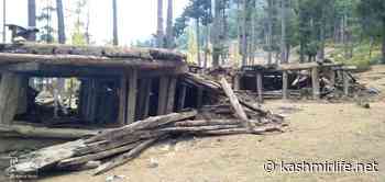 Why The Forest Rights Act Must Help Sanity To Prevail? - Kashmir Life