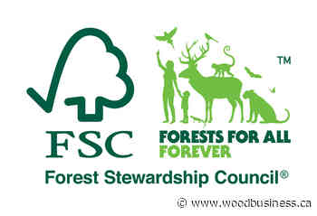 Final Cut: FSC Canada's endorsement of the BC First Nations Forest Strategy a step forward - Wood Business - Canadian Forest Industries