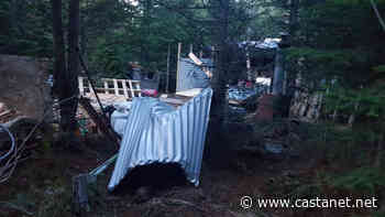 Okanagan Forest Task Force comes across increasingly common sight - Kelowna News - Castanet.net