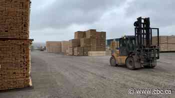Alberta sets sights on expanding forest products harvest as high prices drive returns - CBC.ca