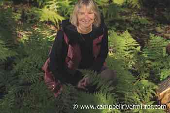 In the forest, a BC scientist discovers trees take care of their own – Campbell River Mirror - Campbell River Mirror