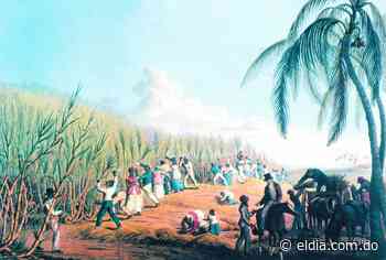 Esclavos en Santo Domingo durante la época colonial: la libertad de la familia - El Dia.com.do