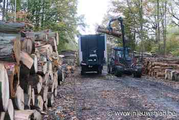 Geleide wandeling biedt duiding bij grootschalige kap gemeentepark