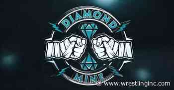 The Diamond Mine “Opening Soon” In WWE NXT - Wrestling Inc.