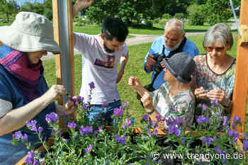 Citizen Science an der Universität Ulm - News Augsburg, Allgäu und Ulm - TRENDYone - das Lifestylemagazin