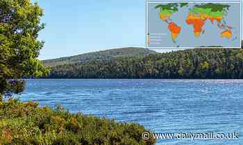 Earth's lakes 'are losing oxygen rapidly' due to global warming, study warns 