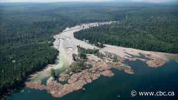 Lawmakers in Alaska and Washington state push B.C. on mining regulations